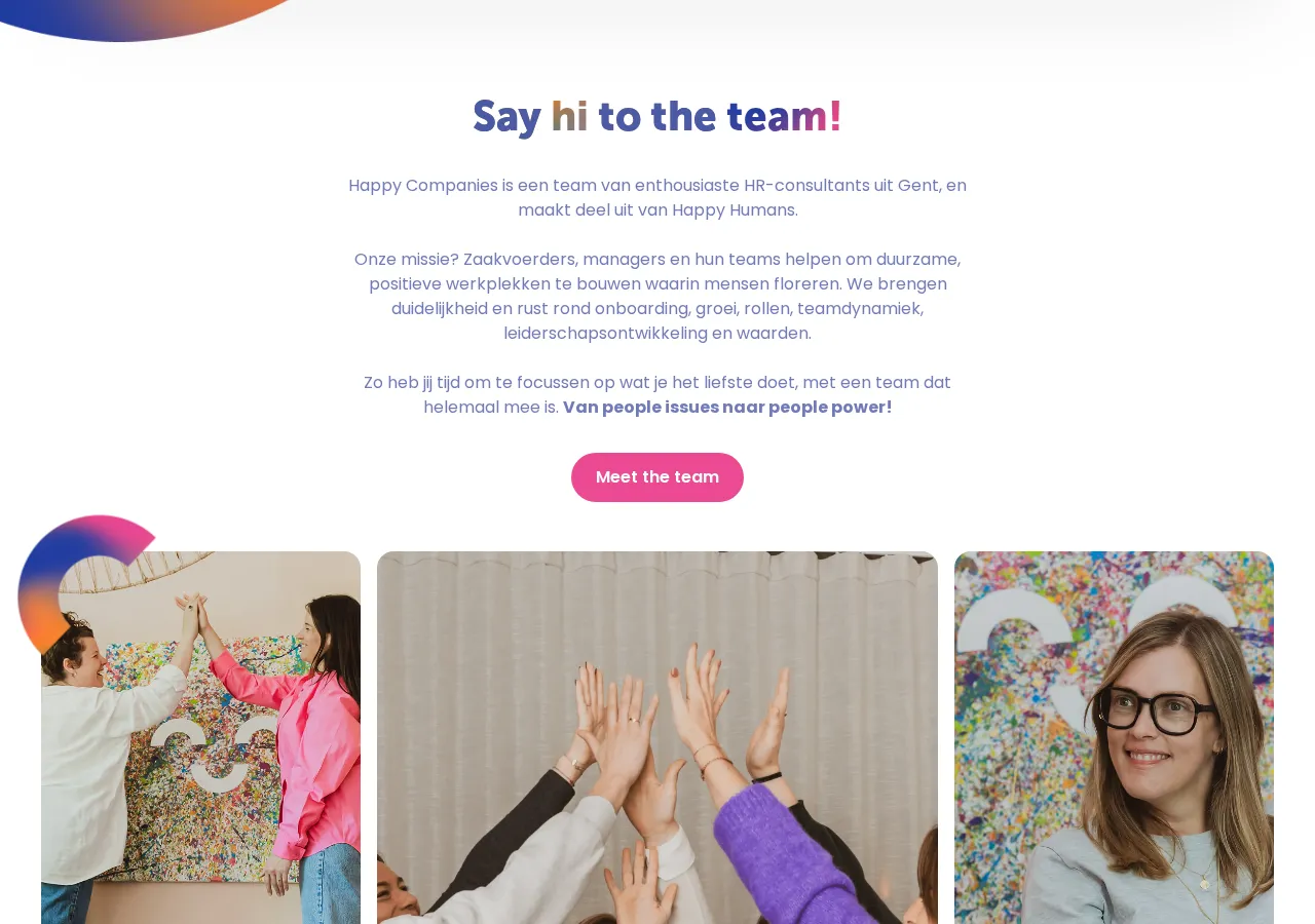 happycompanies.be page section 7 — marketing psychology audit screenshot